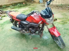 Zaara 100